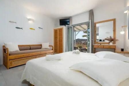 Anemones Studios - 82