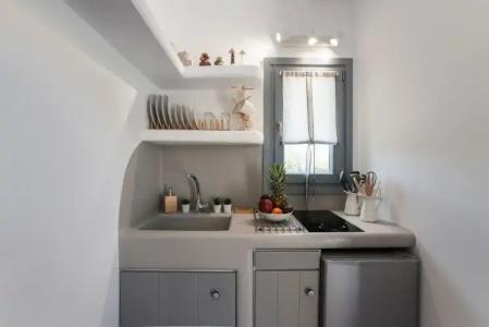 Anemones Studios - 50