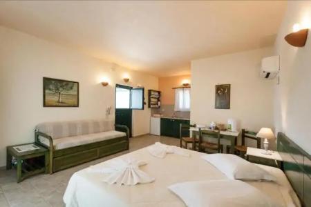 Anemones Studios - 100