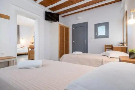 Anemones Studios - 122