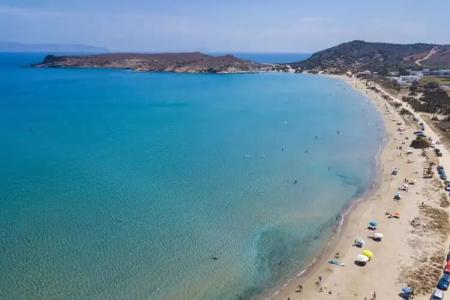 Anemones Studios - 11