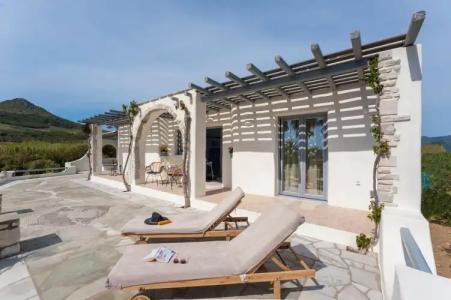 Anemones Studios - 54