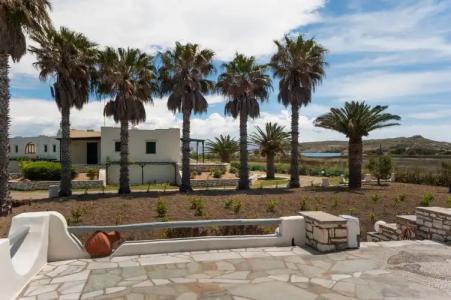 Anemones Studios - 64