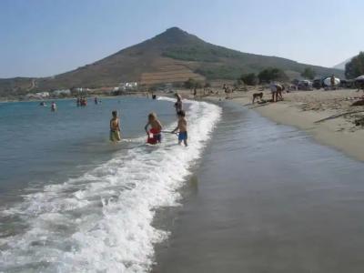 Anemones Studios - 15