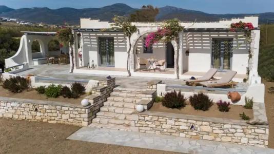 Anemones Studios - 70