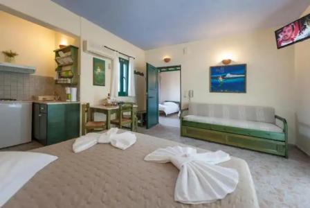 Anemones Studios - 112