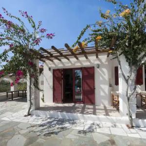 Anemones Studios - 12