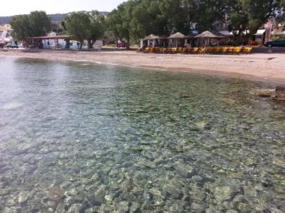 Ela Mesa Luxury Apartments - 19