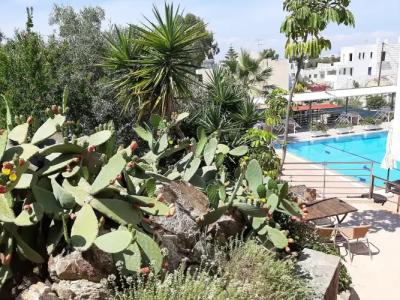 Ela Mesa Luxury Apartments - 23