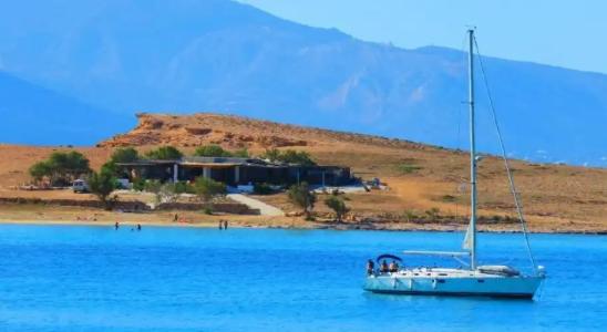 Paradise Resort - 15