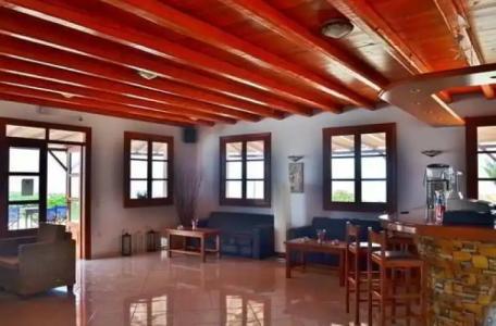 Paradise Resort - 22