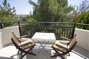 Villa Katerina, Potos