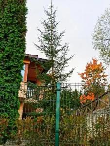 Rodopi Houses - 3