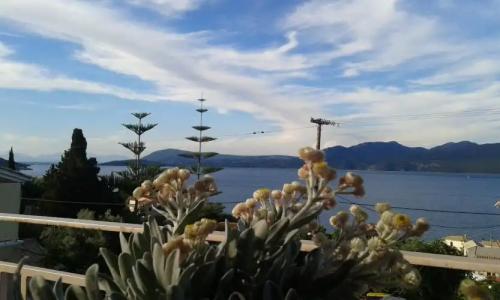 Christianna Studios - 11