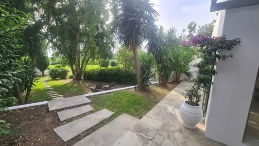 Skiathos Holidays Suites & Villas - 66