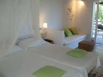 Skiathos Holidays Suites & Villas - 30