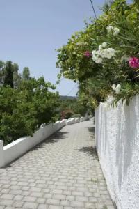 Skiathos Holidays Suites & Villas - 28