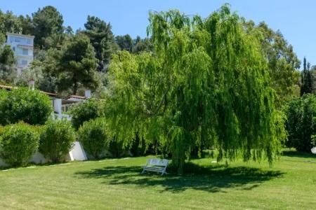 Skiathos Holidays Suites & Villas - 92