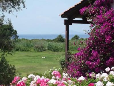 Skiathos Holidays Suites & Villas - 100