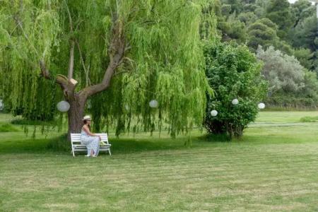 Skiathos Holidays Suites & Villas - 93