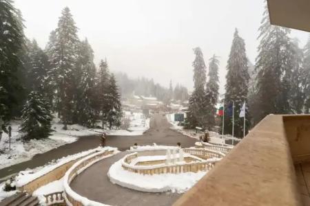 Festa Winter Palace - 135