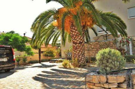 Villa Diana Zadar - 26