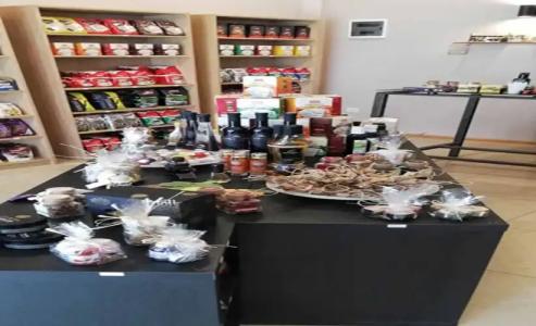 Matilde Beach Resort - 19