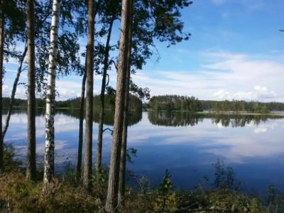 Tallusniemi Villas - 9