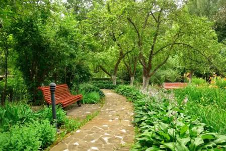 Revital Park Sanatorium - 21