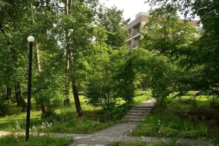 Revital Park Sanatorium - 15