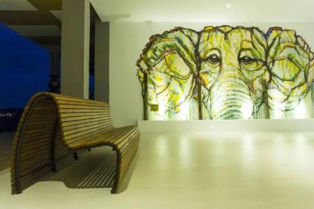 Aliya Resort & Spa - 11