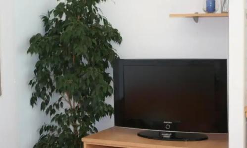 Rooms & Apartments Villa Anka - 55