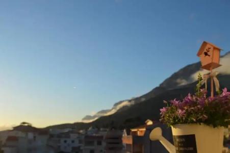 Rooms & Apartments Villa Anka - 90