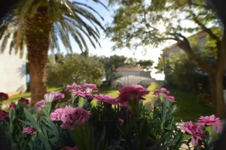 Rooms & Apartments Villa Anka - 17