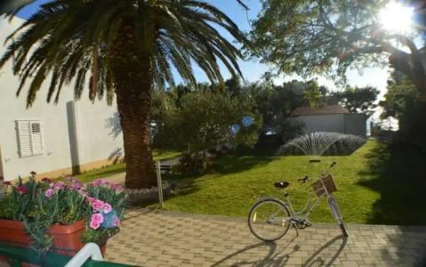 Rooms & Apartments Villa Anka - 29