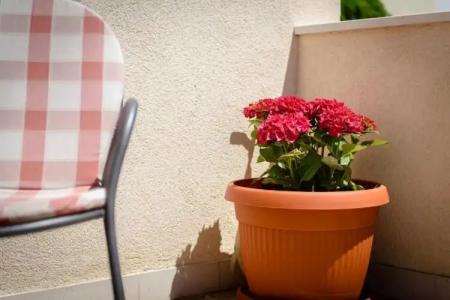 Apartments Kudelik - 14