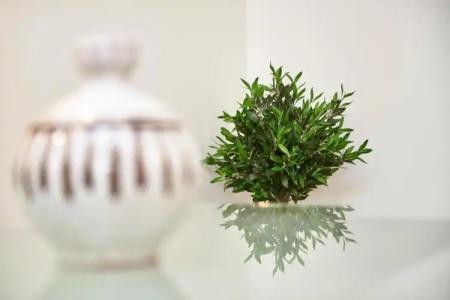 Apartments Gea - 130