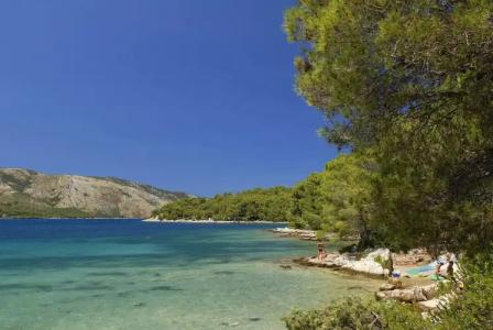 Trim Sunny Apartments by Valamar - 22