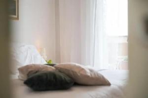 Guest House Lana, Split