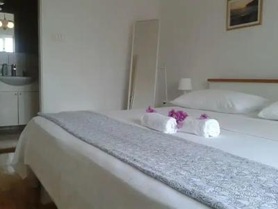 Guest House Lana - 50