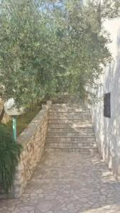 Rooms Krnić - 16