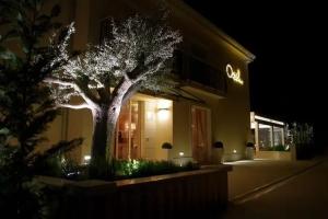 Boutique Hotel Oasi, Pula