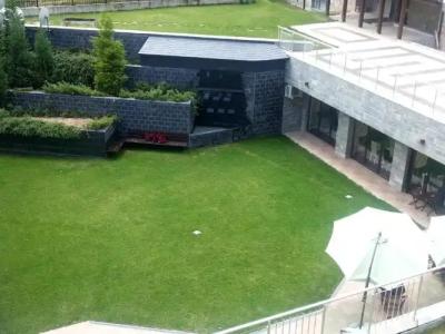 Saint George Palace Aparthotel - 112