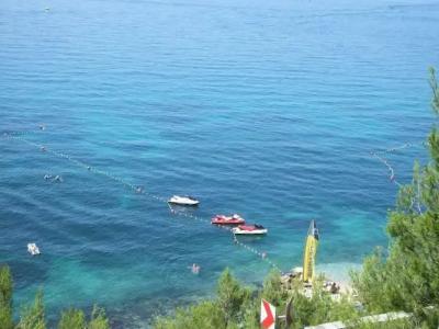 Bed & Breakfast Senator - 17