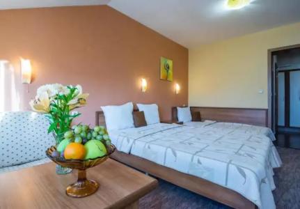 Boutique Guest House Ikonomov - 13