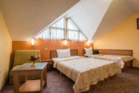 Boutique Guest House Ikonomov - 21