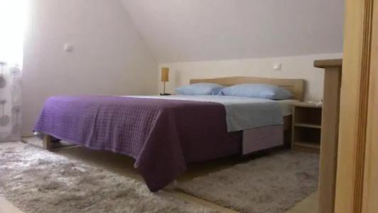 House Samardzic - 21