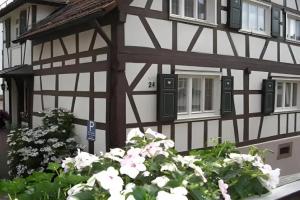 Gernsbach - Hotels Gernsbach - Hotels