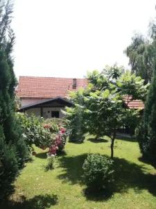 Guest accommodation Plavo oko - 7