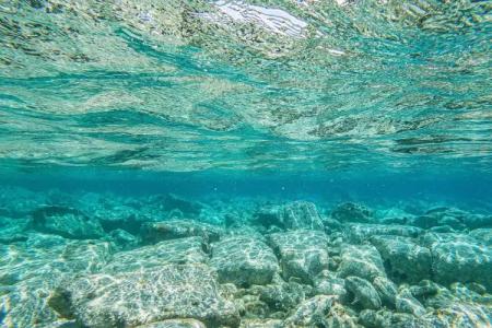 Assos Nazlihan - Special Class - 16